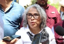 Morena fortalece su organización territorial en SLP con la instalación de Consejos Municipales