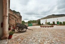 Tierra Adentro: identidad que resiste, evoluciona y trasciende.