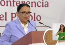 “Ni sí, ni no”: Rosa Icela sobre su candidatura a la Gubernatura de SLP