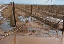 Lluvias y violencia evidencian debilidad en respuesta municipal.
