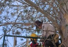 Cuerpo de Bomberos fomenta cultura de prevención en niñas y niños