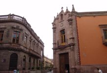 Adaptarse para no desaparecer