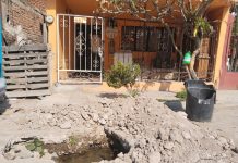 Socavón en calle Escandón persiste y se agrava: de fuga de agua limpia a brote de aguas negras y foco de infección en San Juan de Guadalupe