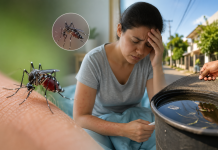 SLP registró drástica reducción de casos de dengue en 2026