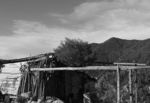 El Estado ausente y la negociación local