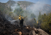 San Luis Potosí registró un solo incendio forestal en la última semana