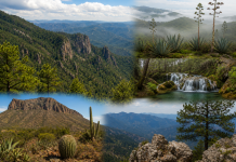 SLP resguarda más de 197 mil hectáreas naturales protegidas