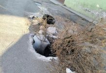 Ciudadanos reclaman abandono urbano en la capital potosina