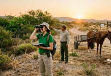 Protegerán a la fauna silvestre y regularán el trabajo de carga en San Luis Potosí