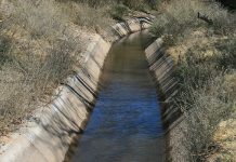 Las acequias: El torrente abierto de la rutina urbana
