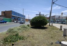 Intensifican trabajos de limpieza en avenidas y unidades deportivas de Soledad
