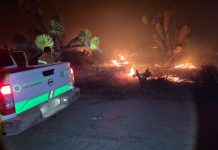 SLP registra menos incendios forestales; Santo Domingo elevó hectáreas afectadas en un solo siniestro