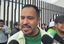 PVEM cuenta con amplia gama de perfiles para la gubernatura; no descartan alianzas