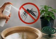 Se redujeron 94% casos de dengue en SLP