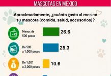 ¿Cuánto te cuesta tu perrhijo? Mitofsky revela cuánto gastan los mexicanos en sus mascotas