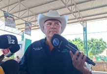 Mosca estéril, la principal estrategia para frenar al gusano barrenador en San Luis Potosí