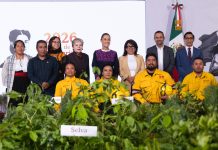 Presidenta Claudia Sheinbaum presenta la Jornada Nacional de Reforestación 2026
