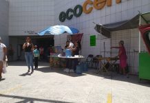 Ciudad Valles en cifras: Concentra el 5.9% de la población de SLP según el nuevo censo del INEGI