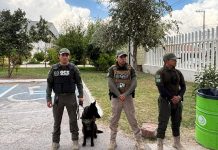 ¿Qué delitos no se denuncian? SSPC buscará respuestas para enfocar esfuerzos