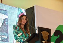 Partido Verde perfila competir sin Morena para 2027 en SLP