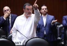 Con Pío y Andy de diputados, Morena legalizaría el grupo parlamentario de los “sobres amarillos” y el fuero huachicolero