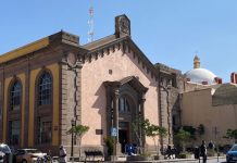 Bibliotecas de SLP pierden lectores: cae 42% la afluencia en ocho años