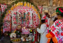 llaman a preservar las tradiciones indígenas durante el Xantolo en la Huasteca