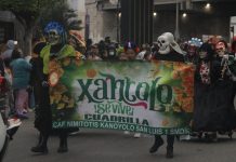 Escuelas y comparsas llenan de color las calles de SGS con el Xantolo