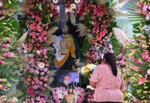 Sin riñas ni detenidos, saldo blanco en festejos a San Judas Tadeo