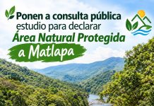 Ponen a consulta pública estudio para declarar Área Natural Protegida a Matlapa
