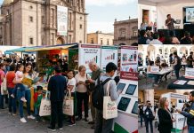 San Luis Potosí va contra el rezago lector: Lanzarán ferias y festivales estatales